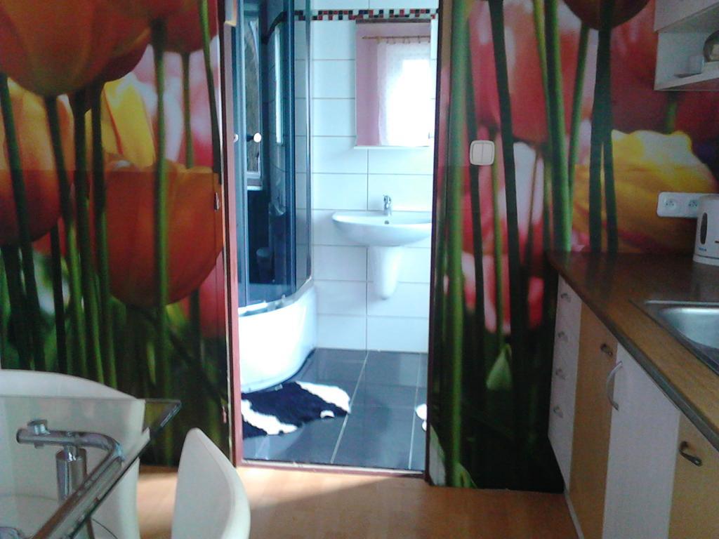 Jiretinska Chaloupka Apartment Jiřetín pod Jedlovou Exterior foto
