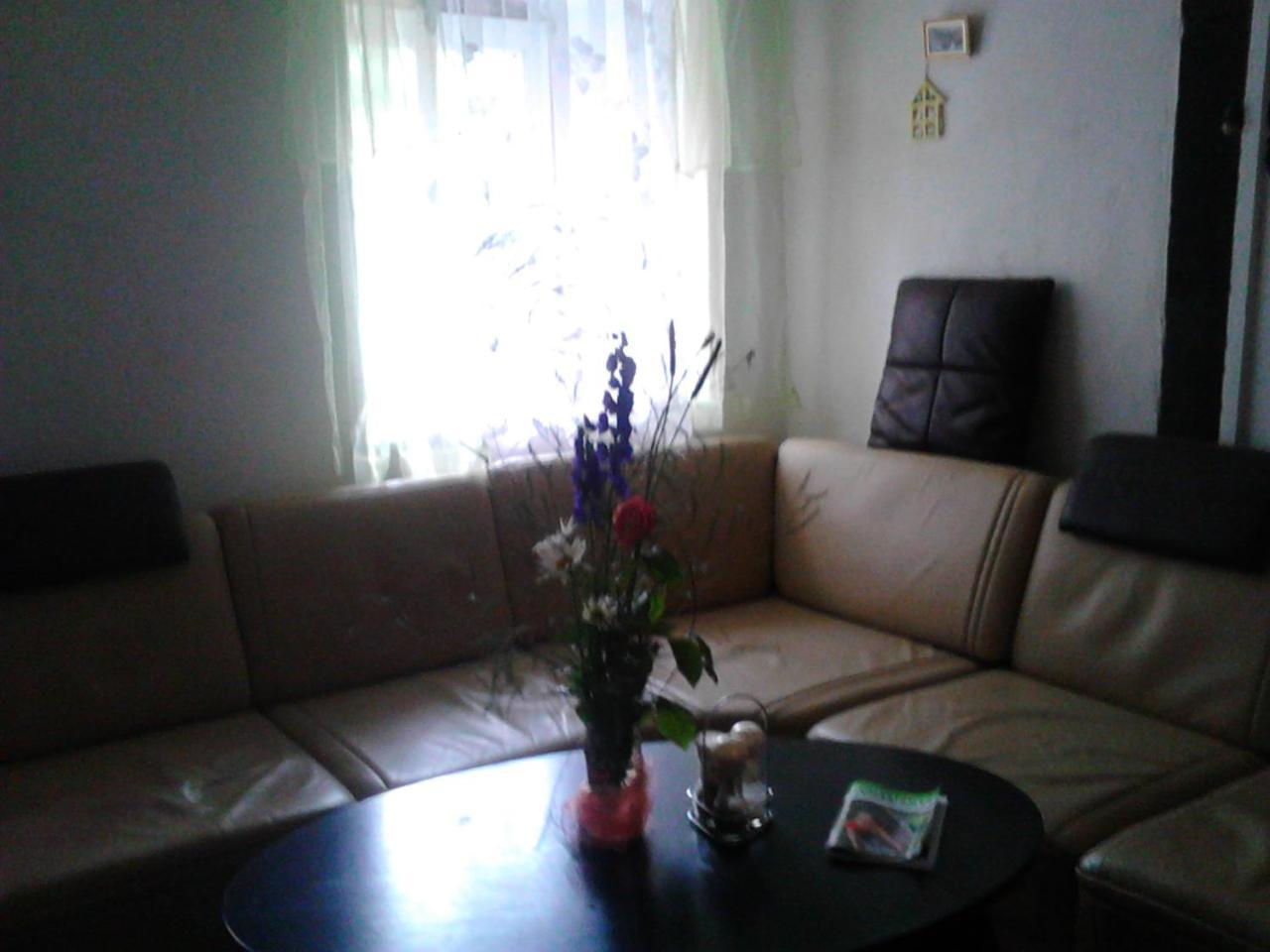 Jiretinska Chaloupka Apartment Jiřetín pod Jedlovou Exterior foto