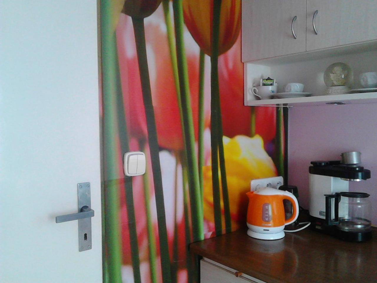 Jiretinska Chaloupka Apartment Jiřetín pod Jedlovou Exterior foto